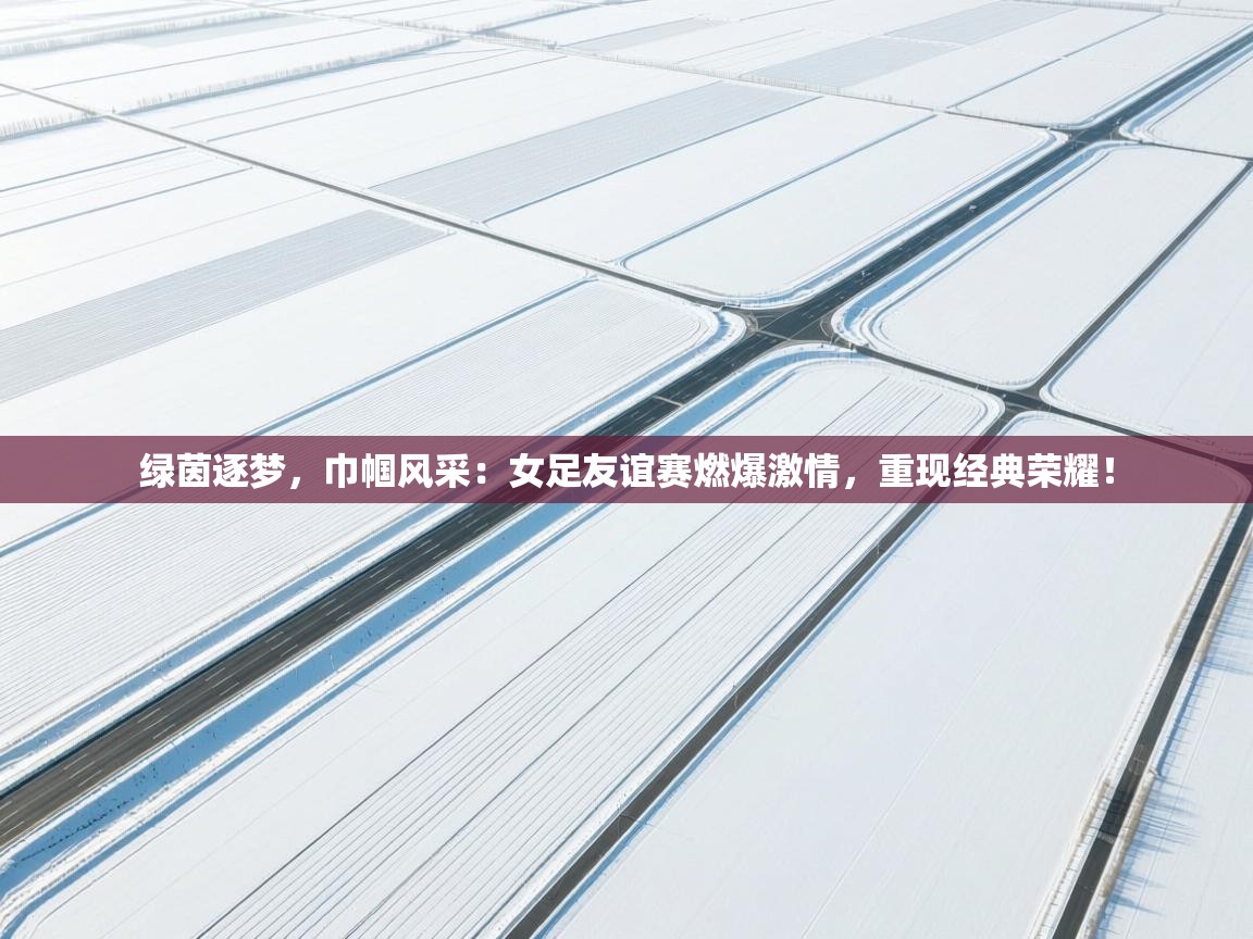 绿茵逐梦，巾帼风采：女足友谊赛燃爆激情，重现经典荣耀！